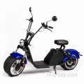 Fat Tyre Adult Lion Electric Scooter